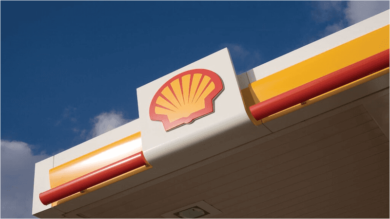 Image of Shell – Inverness