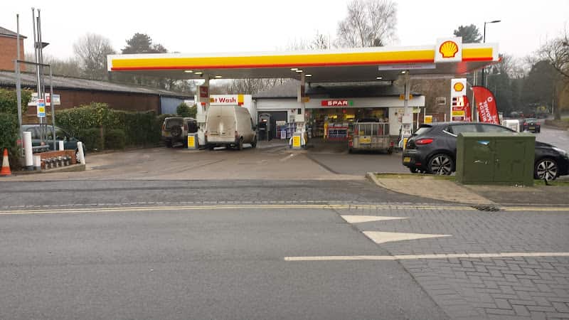 Image of Shell – Newport