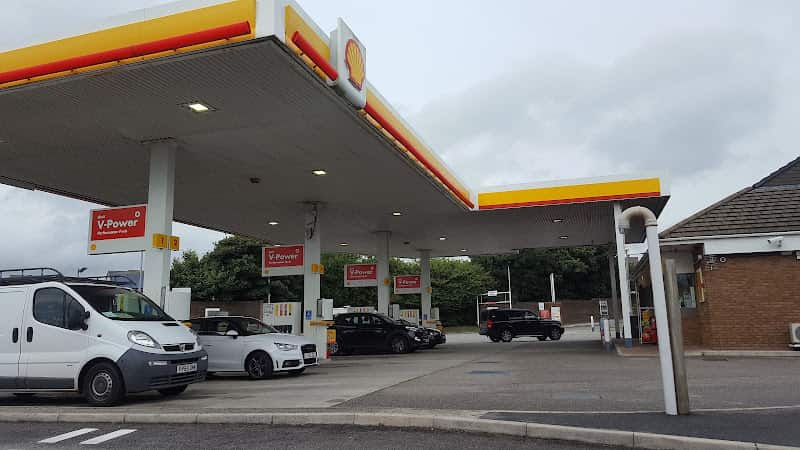 Image of Shell – Saint Columb